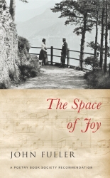 Book cover of The Space of Joy by John Fuller