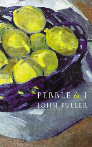 Book cover of Pebble & I by John Fuller