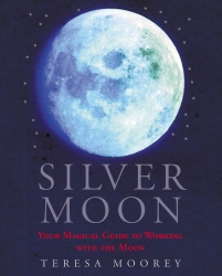 Book cover of Silver Moon by Teresa Dellbridge
