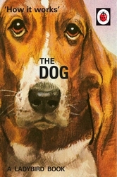 Book cover of How it Works: The Dog by Jason Hazeley, Joel Morris