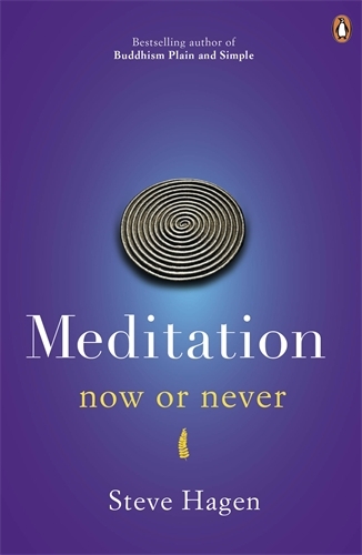Book cover of Meditation Now or Never by Steve Hagen