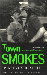 Book cover of Town Smokes by Pinckney Benedict
