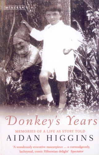 Book cover of Donkeys Years by Aidan Higgins