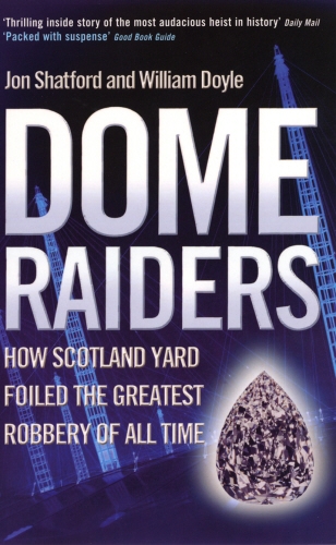 Book cover of Dome Raiders by Jon Shatford