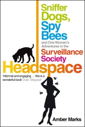 Book cover of Headspace by Amber Marks