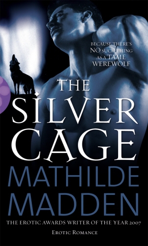 Book cover of The Silver Cage by Mathilde Madden