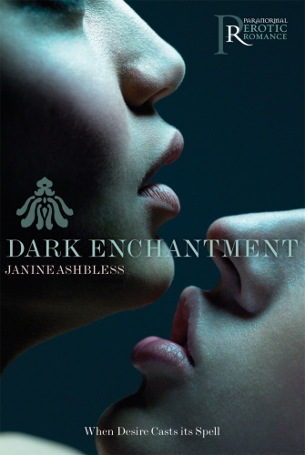 Book cover of Dark Enchantment by Janine Ashbless
