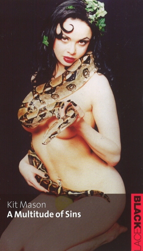 Book cover of A Multitude of Sins by Kit Mason