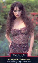 Book cover of Coming Up Roses by Crystalle Valentino