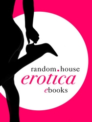 Book cover of The Rake by Aishling Morgan