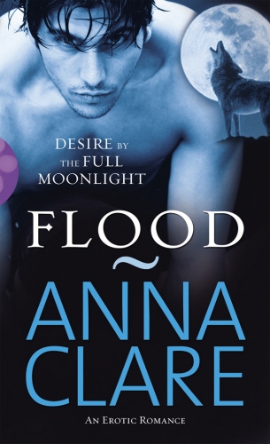 Book cover of Flood by Anna Clare