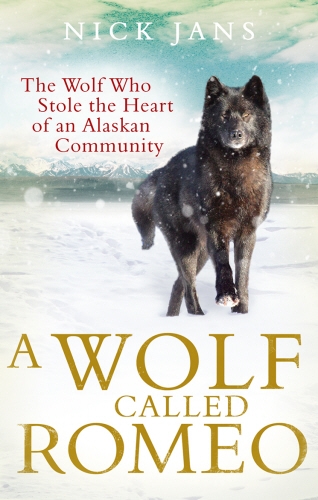 Book cover of A Wolf Called Romeo by Nick Jans