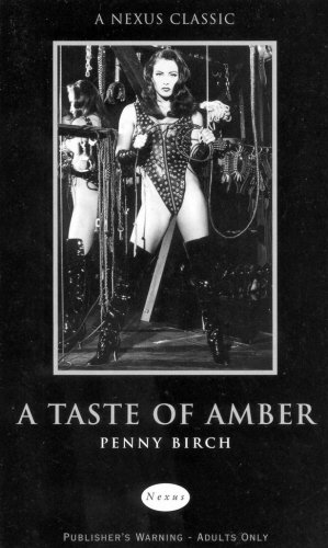 Book cover of A Taste of Amber by Penny Birch
