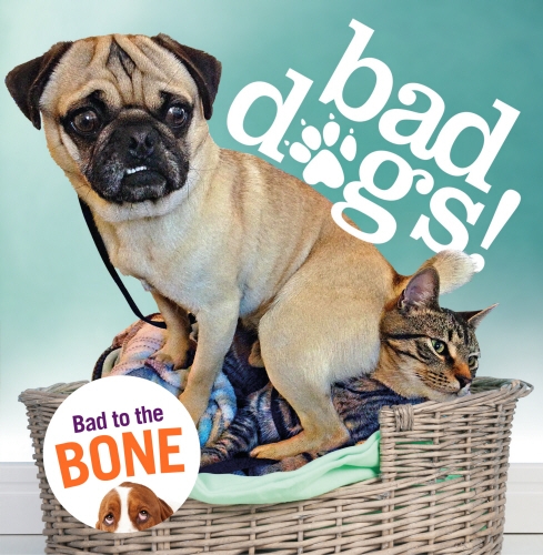 Book cover of Bad Dogs