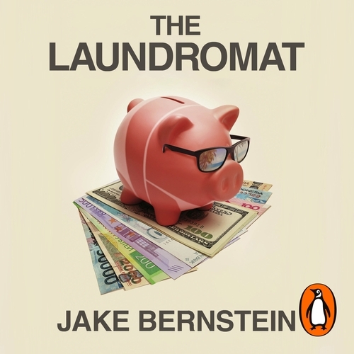 Book cover of The Laundromat by Jake Bernstein