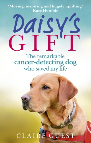 Book cover of Daisy’s Gift by Claire Guest