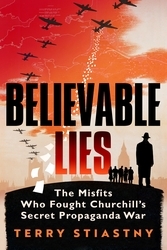 Book cover of Believable Lies by Terry Stiastny