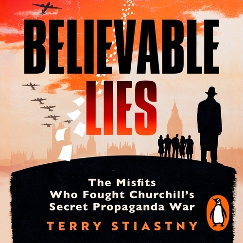 Book cover of Believable Lies by Terry Stiastny