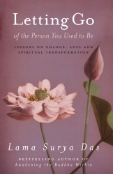 Book cover of Letting Go Of The Person You Used To Be by Lama Surya Das