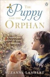 Book cover of The Puppy and the Orphan by Suzanne Lambert