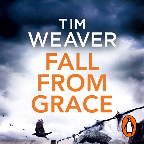 Book cover of Fall From Grace by Tim Weaver
