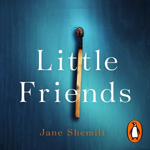 Book cover of Little Friends by Jane Shemilt
