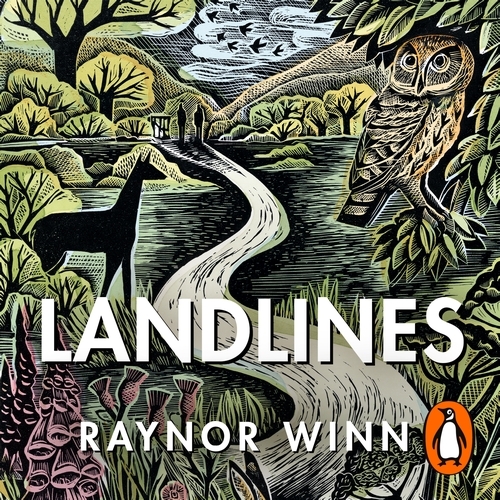 Book cover of Landlines by Raynor Winn