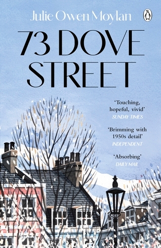 Book cover of 73 Dove Street by Julie Owen Moylan