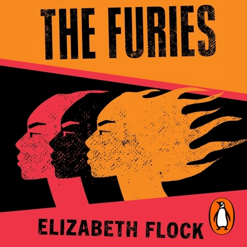 Book cover of The Furies by Elizabeth Flock