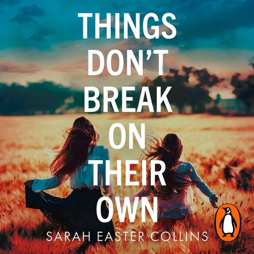 Book cover of Things Don’t Break On Their Own by Sarah Easter Collins