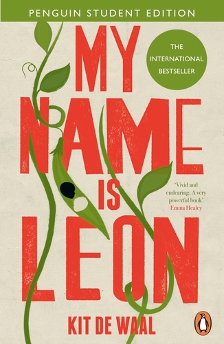 Book cover of My Name Is Leon by Kit de Waal