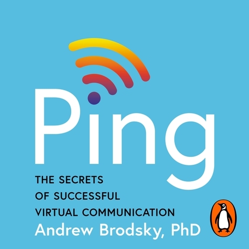 Book cover of Ping by Andrew Brodsky