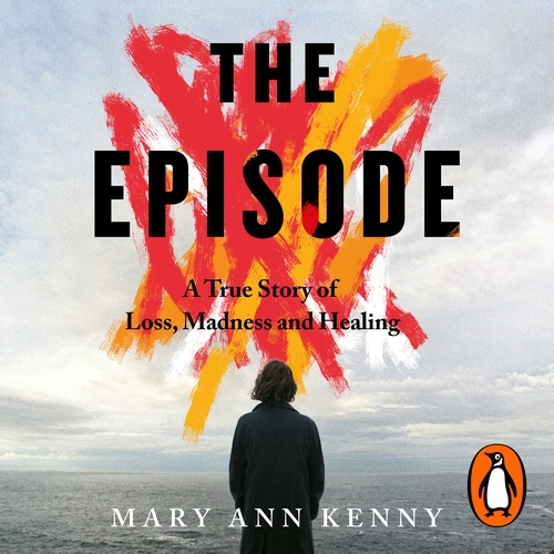 Book cover of The Episode by Mary Ann Kenny