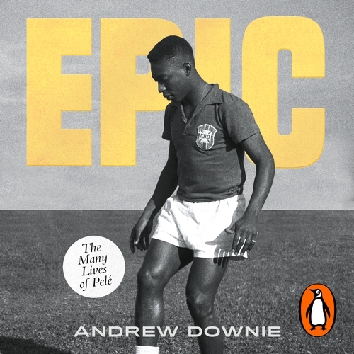 Book cover of Epic by Andrew Downie
