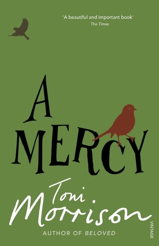 Book cover of A Mercy by Toni Morrison