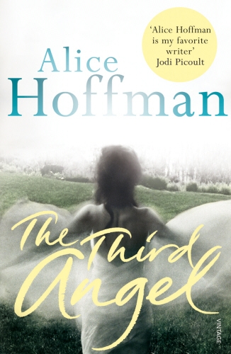 Book cover of The Third Angel by Alice Hoffman