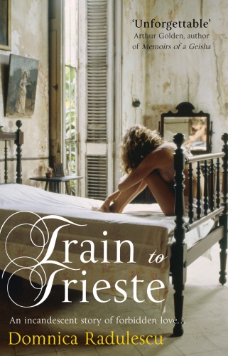 Book cover of Train to Trieste by Domnica Radulescu