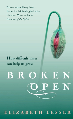 Book cover of Broken Open by Elizabeth Lesser