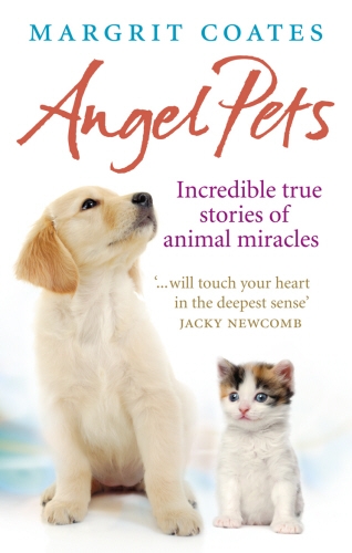 Book cover of Angel Pets by Margrit Coates