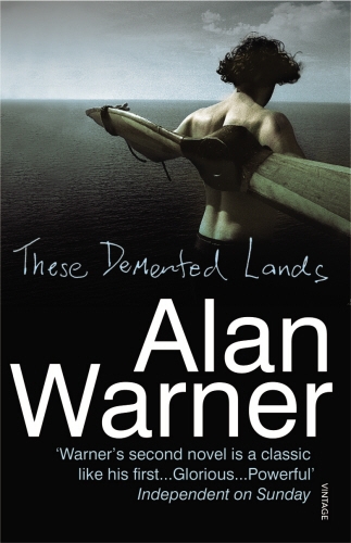 Book cover of These Demented Lands by Alan Warner