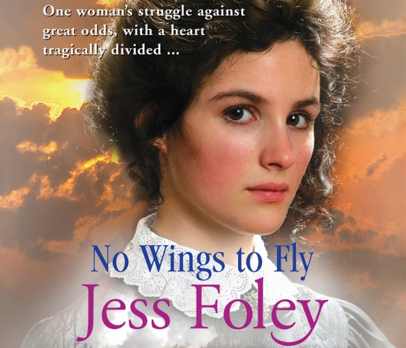 Book cover of No Wings To Fly by Jess Foley
