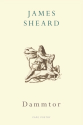 Book cover of Dammtor by James Sheard