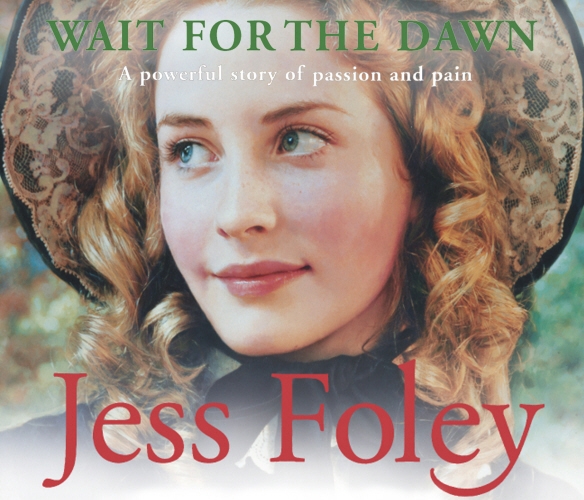Book cover of Wait For The Dawn by Jess Foley