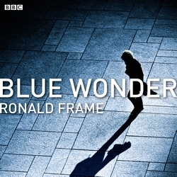 Book cover of Blue Wonder by Ronald Frame