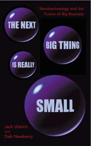 Book cover of The Next Big Thing Is Really Small by Deb Newberry, Jack Uldrich