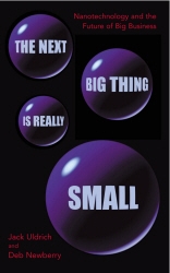 Book cover of The Next Big Thing Is Really Small by Deb Newberry, Jack Uldrich