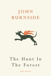 Book cover of The Hunt in the Forest by John Burnside