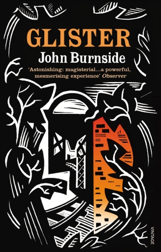 Book cover of Glister by John Burnside