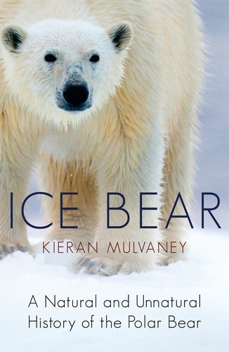 Book cover of Ice Bear by Kieran Mulvaney