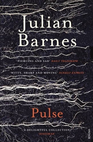 Book cover of Pulse by Julian Barnes